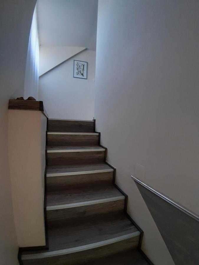 Apartment Profi Keco *